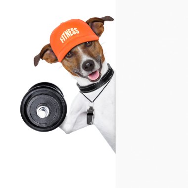 Fitness köpek afiş