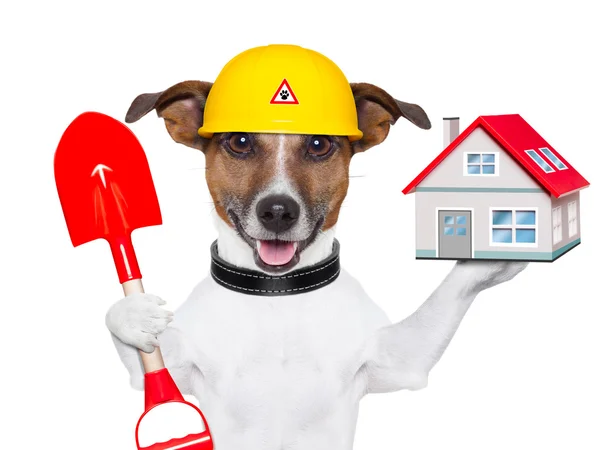 Casa perro constructor —  Fotos de Stock