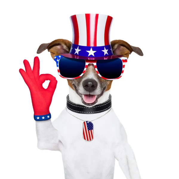 Usa american dog Royalty Free Stock Images