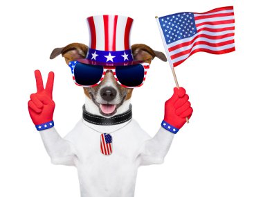 ABD Amerikan köpek