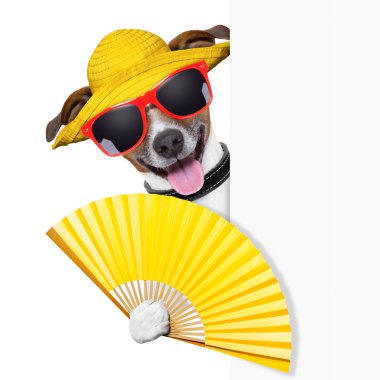 yaz kokteyl köpek