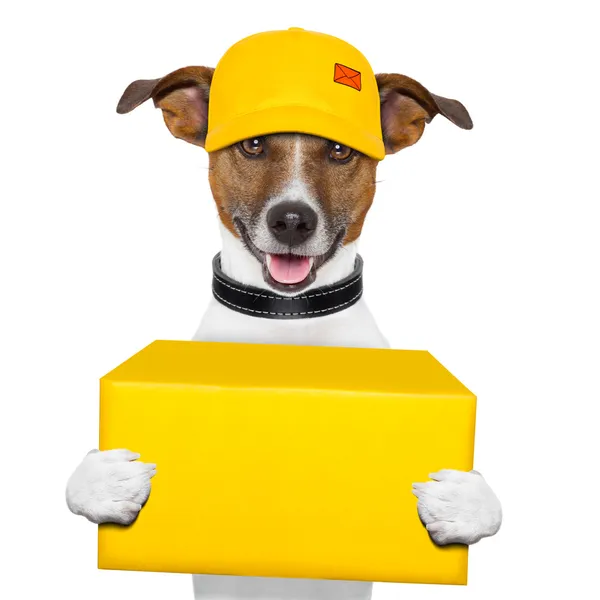 Dog delivery post — Stock Photo, Image