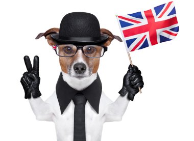 british dog banner