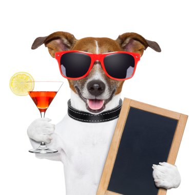 grappige cocktail hond