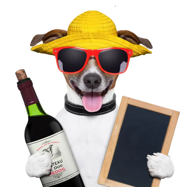 Summer dog and wine bottle — Stock Photo, Image