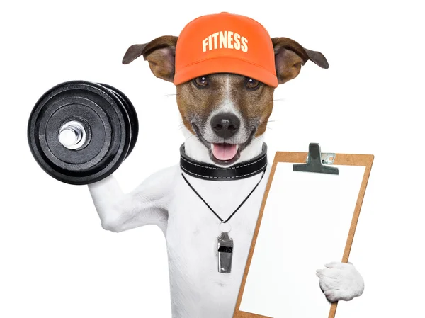 Cão fitness — Fotografia de Stock