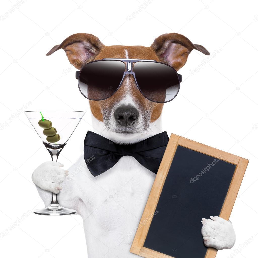 martini dog