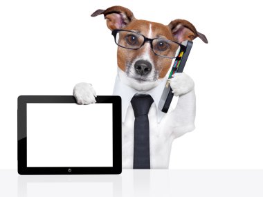 iş köpeği
