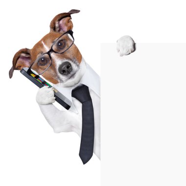 köpek smartphone