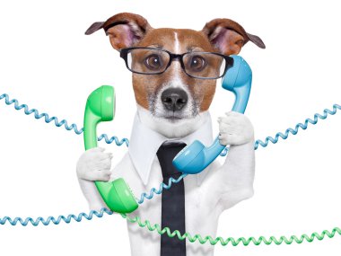 business dog clipart