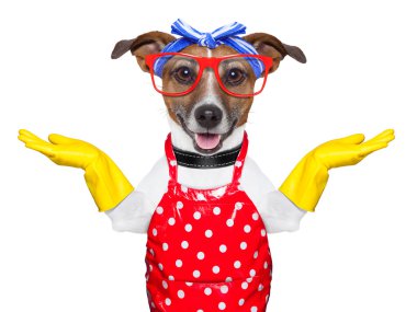 housewife dog clipart