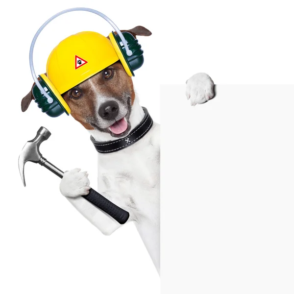Handyman dog — Stock Photo, Image