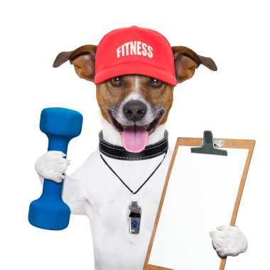 Fitness köpek