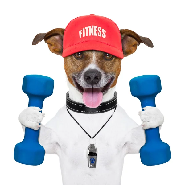 Cane fitness — Foto Stock