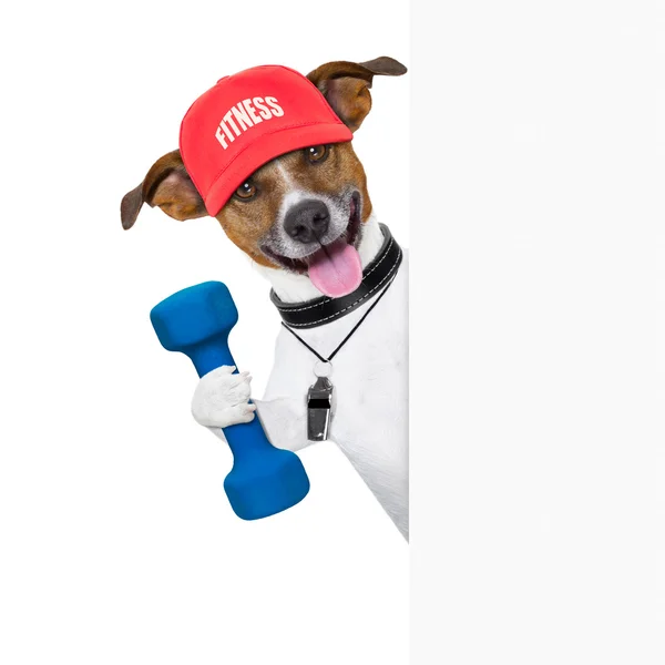 Fitness-Hund-Banner — Stockfoto