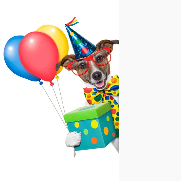 Perro con globos fotos de stock, imágenes de Perro con globos sin