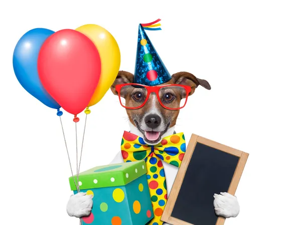 Happy birthday dog Pictures, Happy birthday dog Stock Photos & Images ...