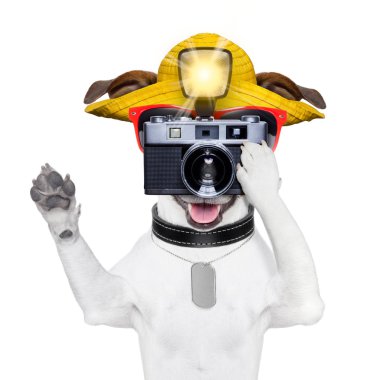 turist köpek fotoğrafçı