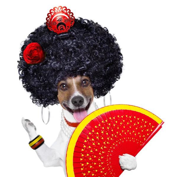 Spanish dog — Stock Photo, Image