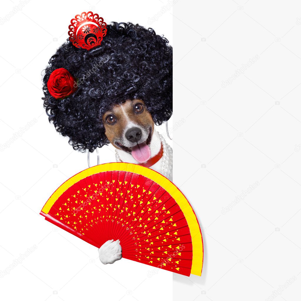 spanish dog