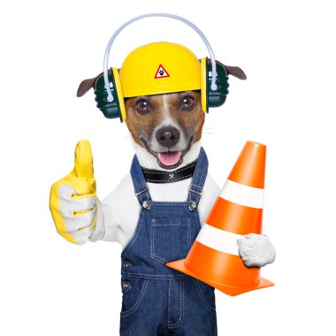 İnşaat köpek altında