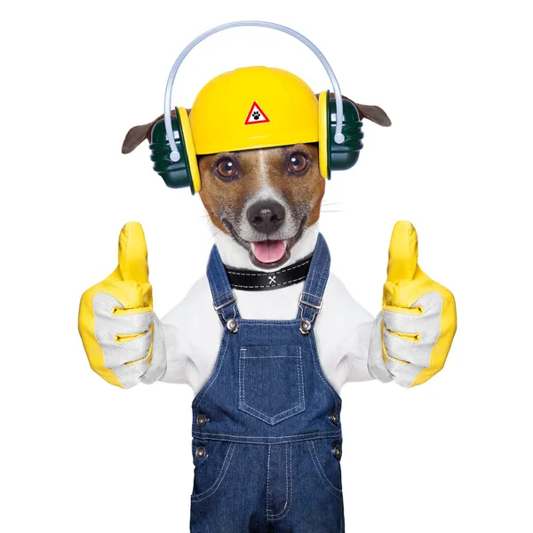 Under construction dog — Stock Photo, Image