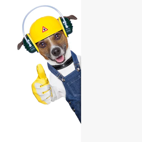 Under construction dog — Stock Photo, Image