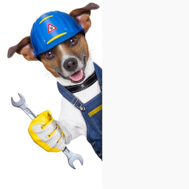 Usta köpek