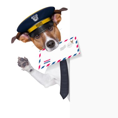 posta köpek