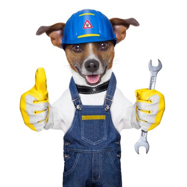 Usta köpek