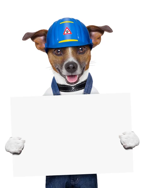 Handwerkerhund — Stockfoto