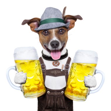 Oktoberfest köpek