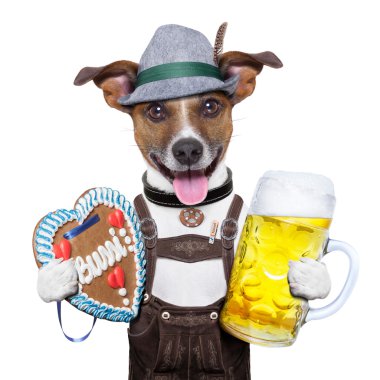 Oktoberfest köpek
