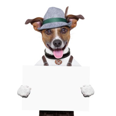 Oktoberfest köpek