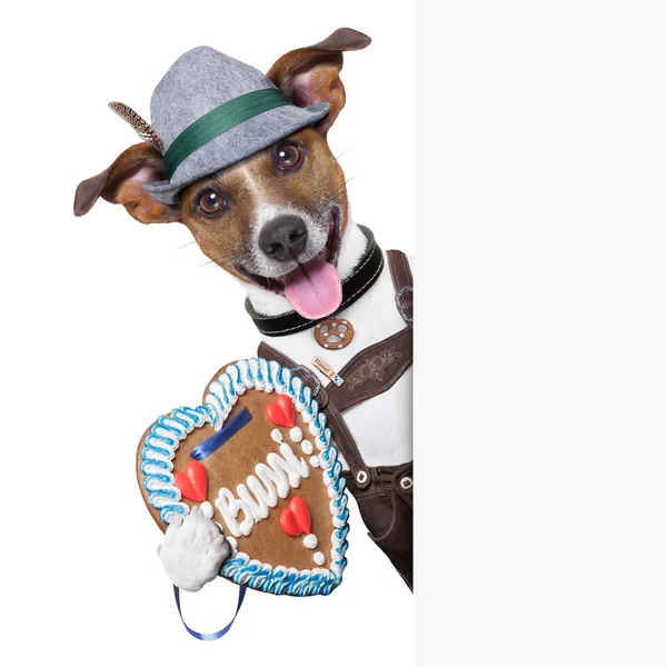 Oktoberfest perro — Foto de Stock