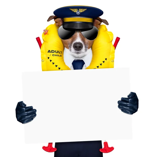 Piloten dog — Stockfoto