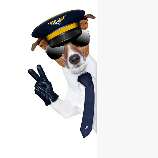 Piloten dog — Stockfoto