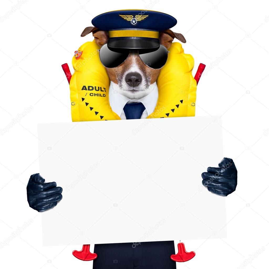 pilot dog