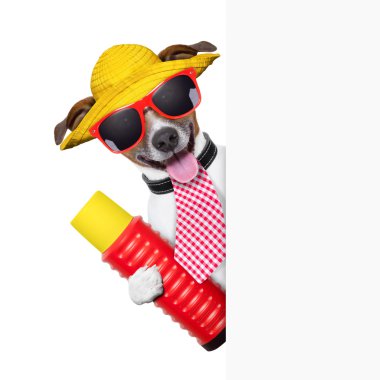 tatil köpek