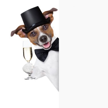 kızartma köpek