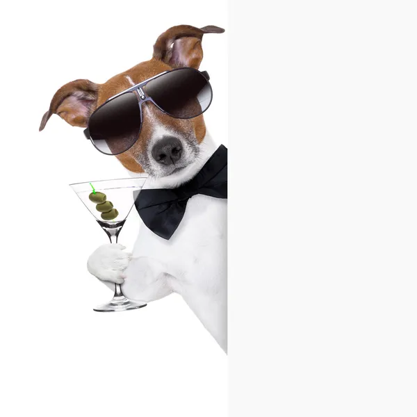 Dog toasting — Stock Photo, Image