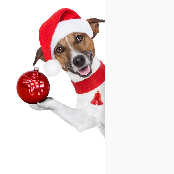 Hello goodbye Kerstmis hond — Stockfoto