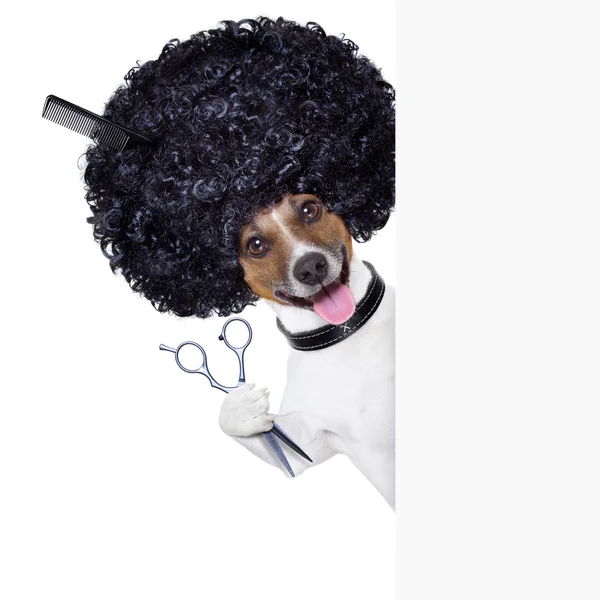 美发师的狗 — 图库照片