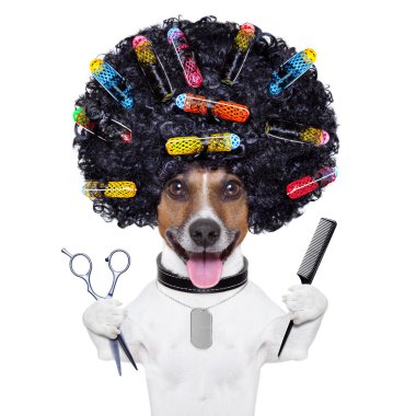 hairdresser dog with curlers clipart