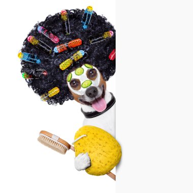 Sağlık köpek