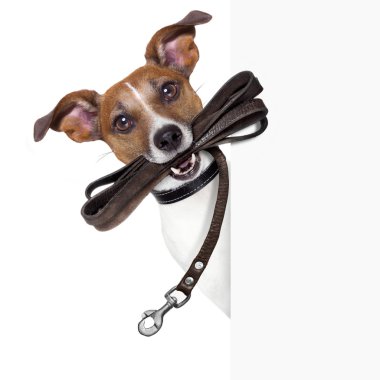 dog with leather leash clipart
