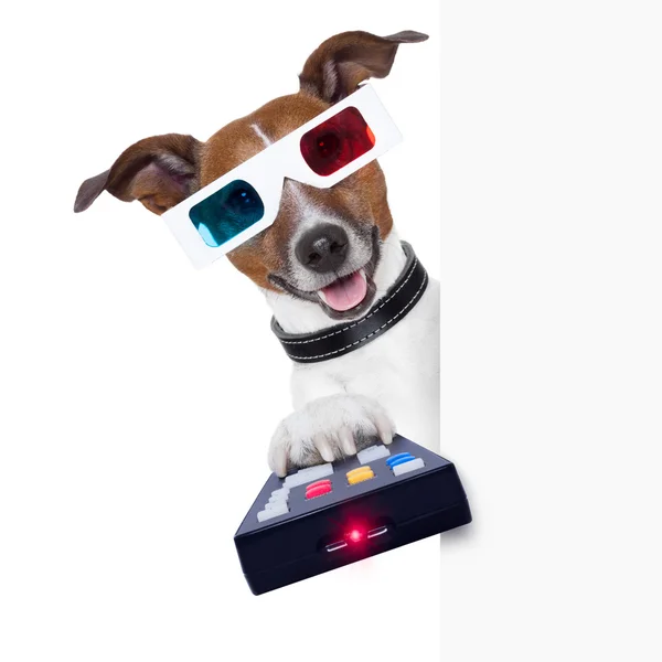 3d glasses movie dog — Stock Photo, Image