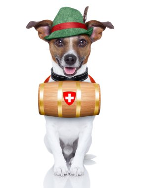 kurtarma köpeği