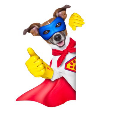 süper kahraman köpek