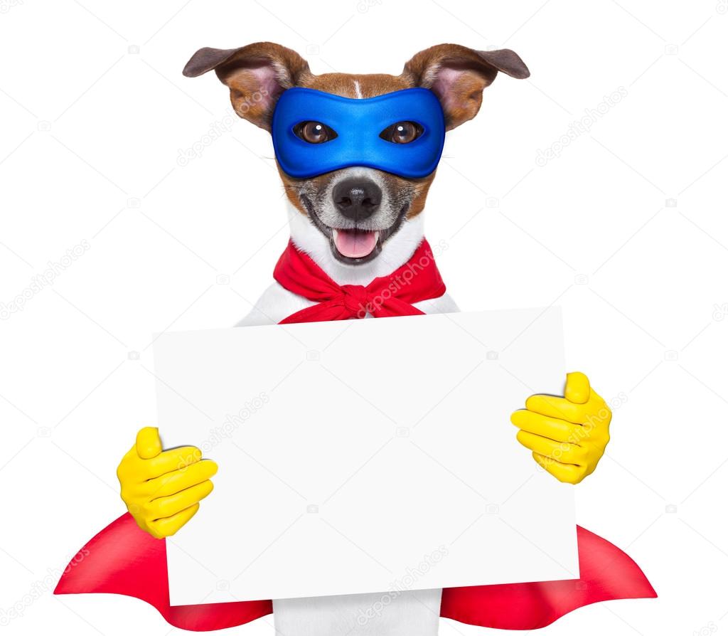 Superheldenhund Stockfotografie lizenzfreie Fotos © damedeeso